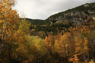 _MG_3523.JPG