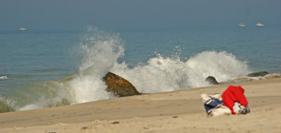 IMG_8551.jpg