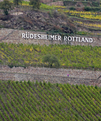 RUDESHEIMER ROTTLAND VINEYARDS