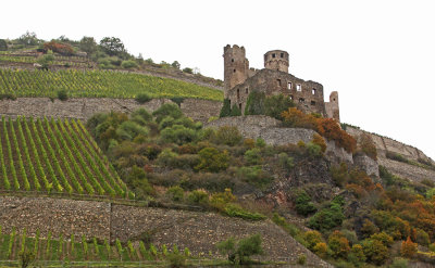 EHRENFELS CASTLE II