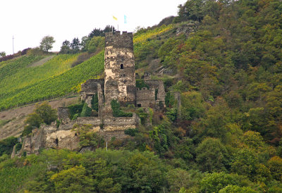 CASTLE RUINS ALONG THE RHINE