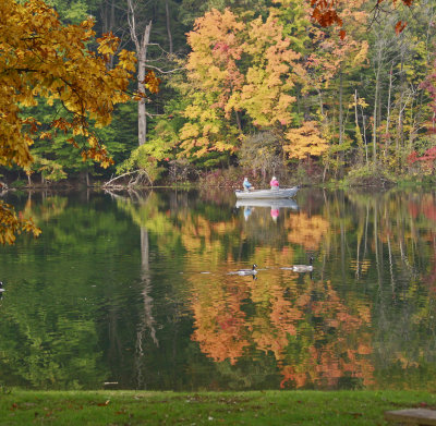AUTUMN MORNING 