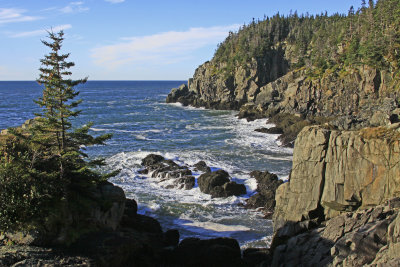 MAINE COAST
