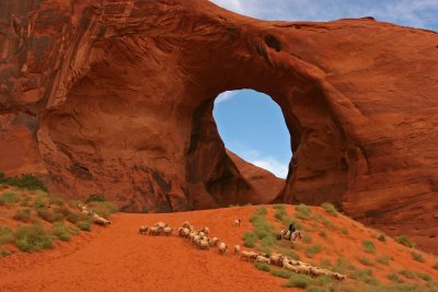 HERDING SHEEP IN MONUMENT VALLEY