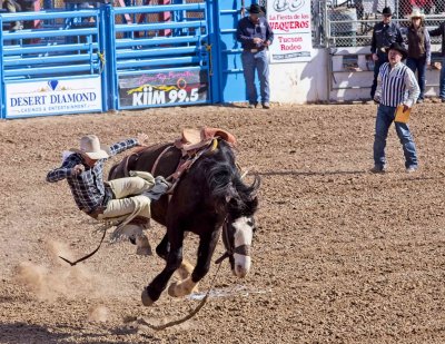 The Tucson Rodeo