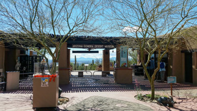 desert museum.jpg