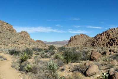 Grapevine Hills Trail to Balanced Rock 1