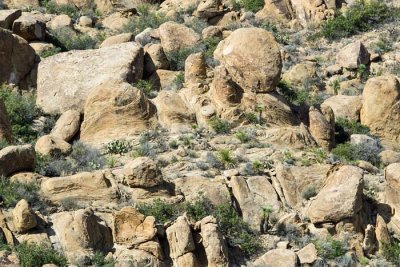 Grapevine Hills Trail to Balanced Rock 7