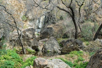 Cattail Falls 4