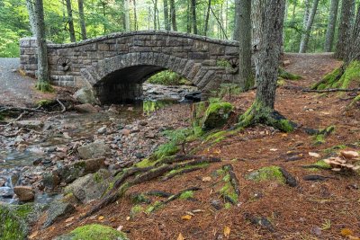 Hadlock Brook Bridge 1