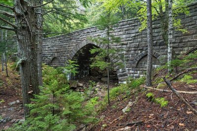 Hemlock Bridge 1