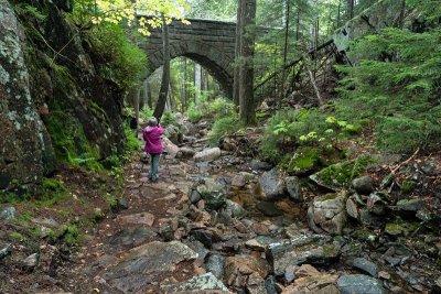 Hemlock Bridge 5