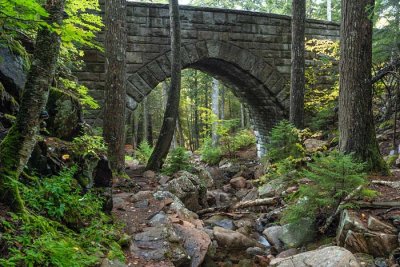 Hemlock Bridge 8