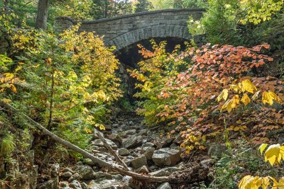 Chasm Brook Bridge 2