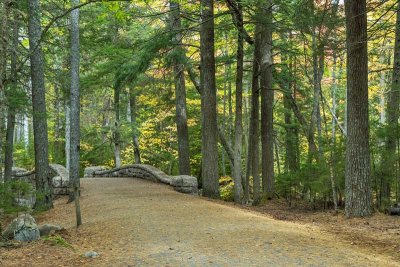 Hadlock Brook Bridge 5