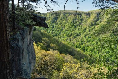 Endless Wall Trail 5 - New River Gorge NP