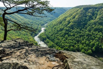 Endless Wall Trail 6 - New River Gorge NP
