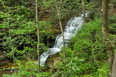 Turkey Creek Cascades 1