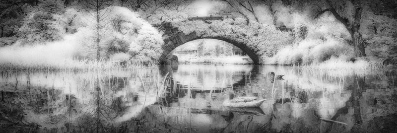 NY Central Park