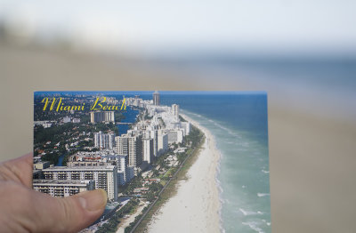 Miami Imagined.jpg