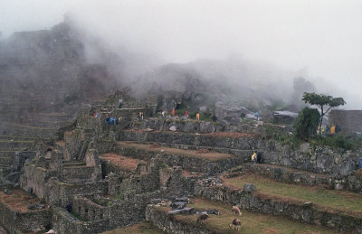 Manchu Pichu.jpg