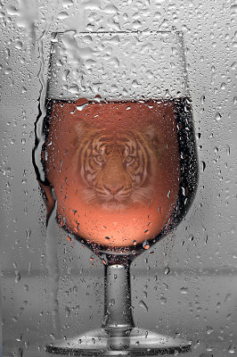 Presence Under Glass 3.jpg