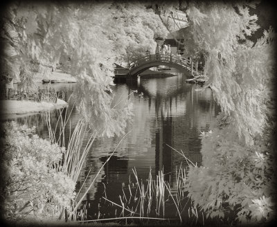 Jardin Japones, Buenos Aires.jpg