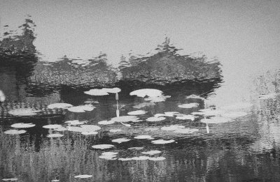 Lillys, Vietnam.jpg