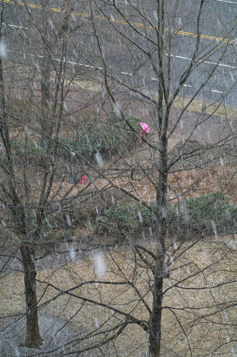 Snow.JPG
