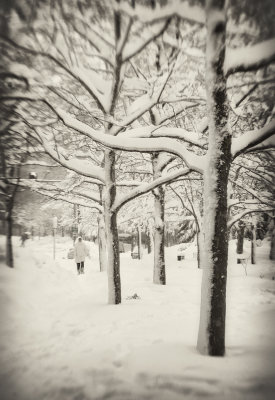 Snow 2.jpg