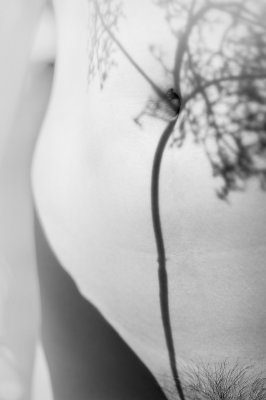 Catching Shadows 4.JPG