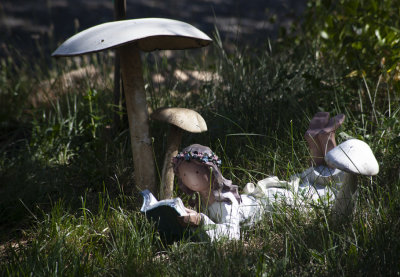 reading.jpg