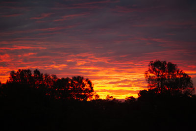 Daylight_1.jpg