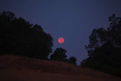 moon.jpg