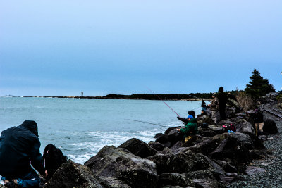 DSC_1489 - edit.jpg