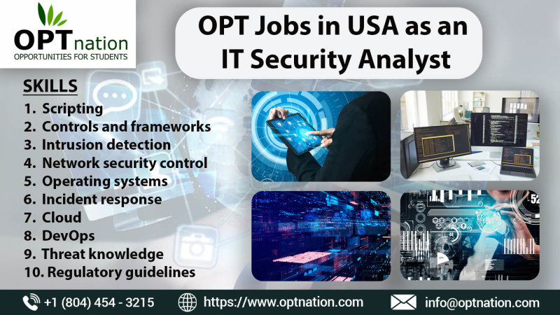 OPT Jobs in USA as an IT Security Analyst.jpg