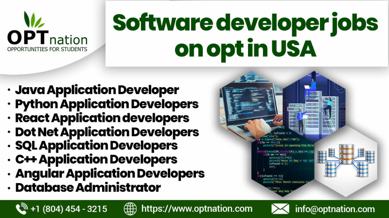 Software Developer Jobs on OPT in USA.jpg