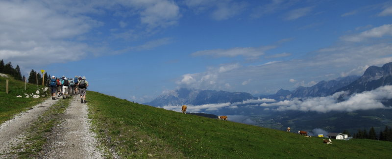 IMG_3817 copy.jpg