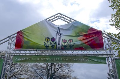 2019_tulip_festival_in_ottawa