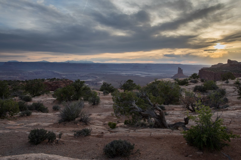 20190503_Canyonland_0124-HDR.jpg