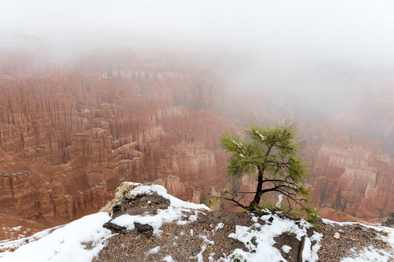 20190510_Bryce_0107.jpg