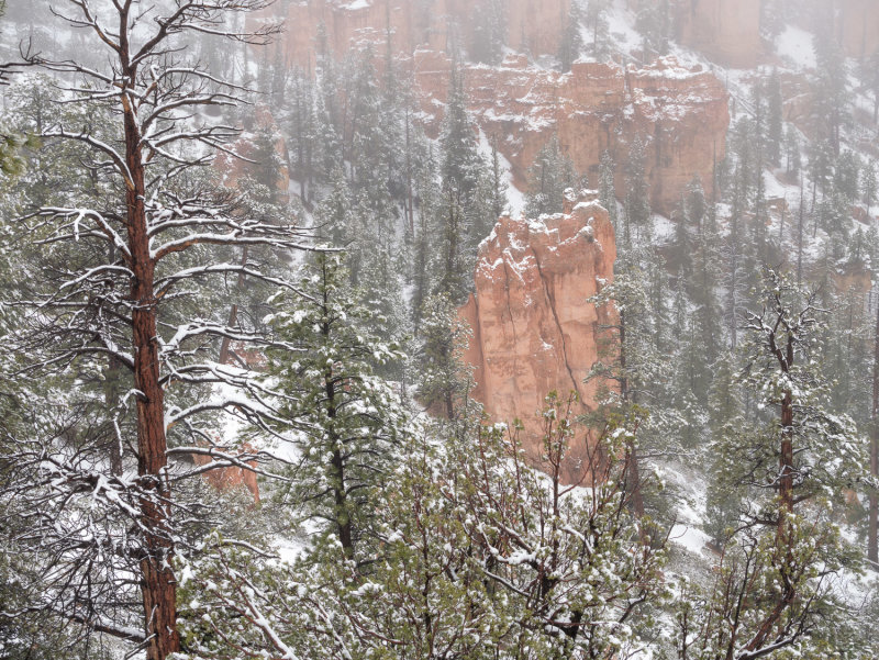 20190510_Bryce_0128.jpg