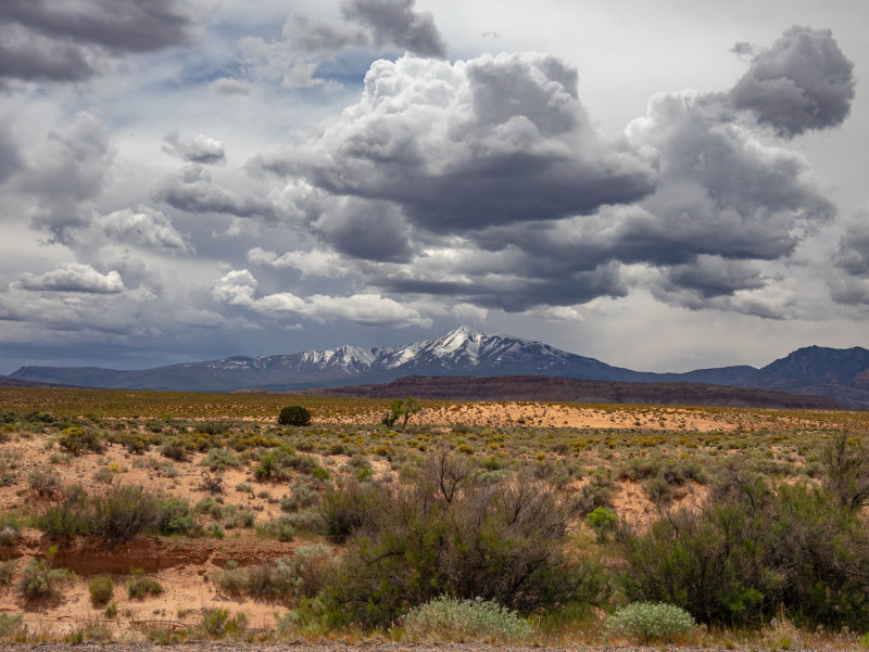 20190507_Utah 95_0130.jpg