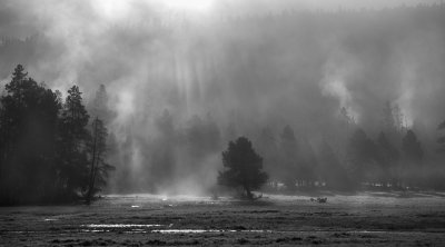20180503_Yellowstone_0017.jpg