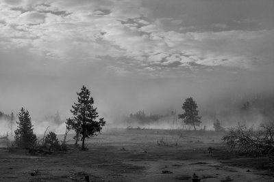 20180505_Yellowstone_0319.jpg