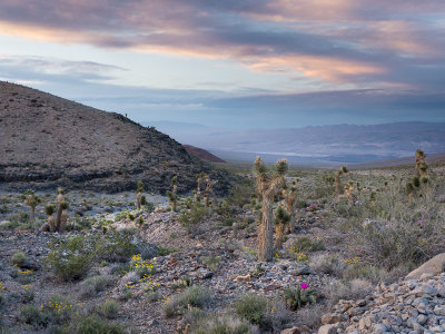 20140424_Death Valley_0276.jpg