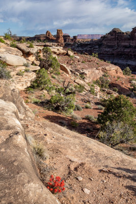 Canyonlands National Park 2019