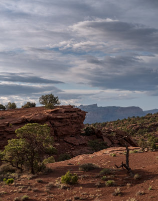 20190508_Capitol Reef_0433-HDR.jpg