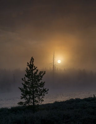 Yellowstone National Park 2019