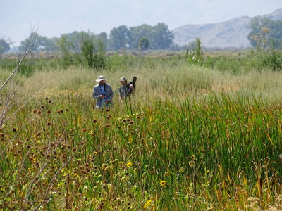 Intrepid birders #2 - Paul and Asher.JPG